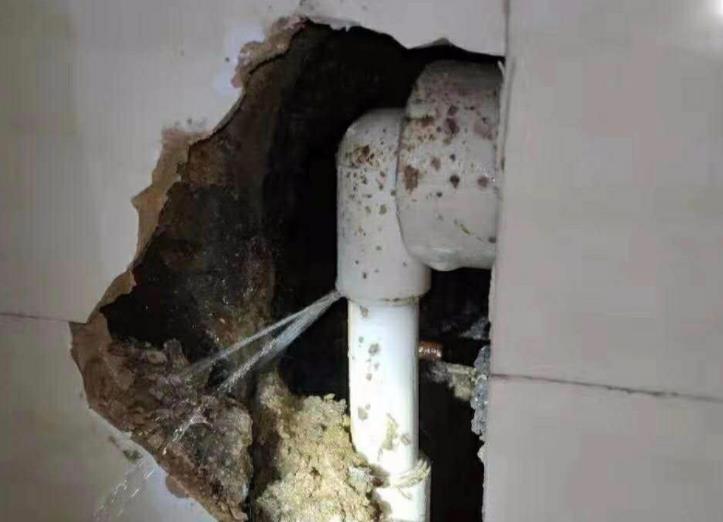 公元水管漏水包賠嗎？選購時別光看牌子！還得看它！