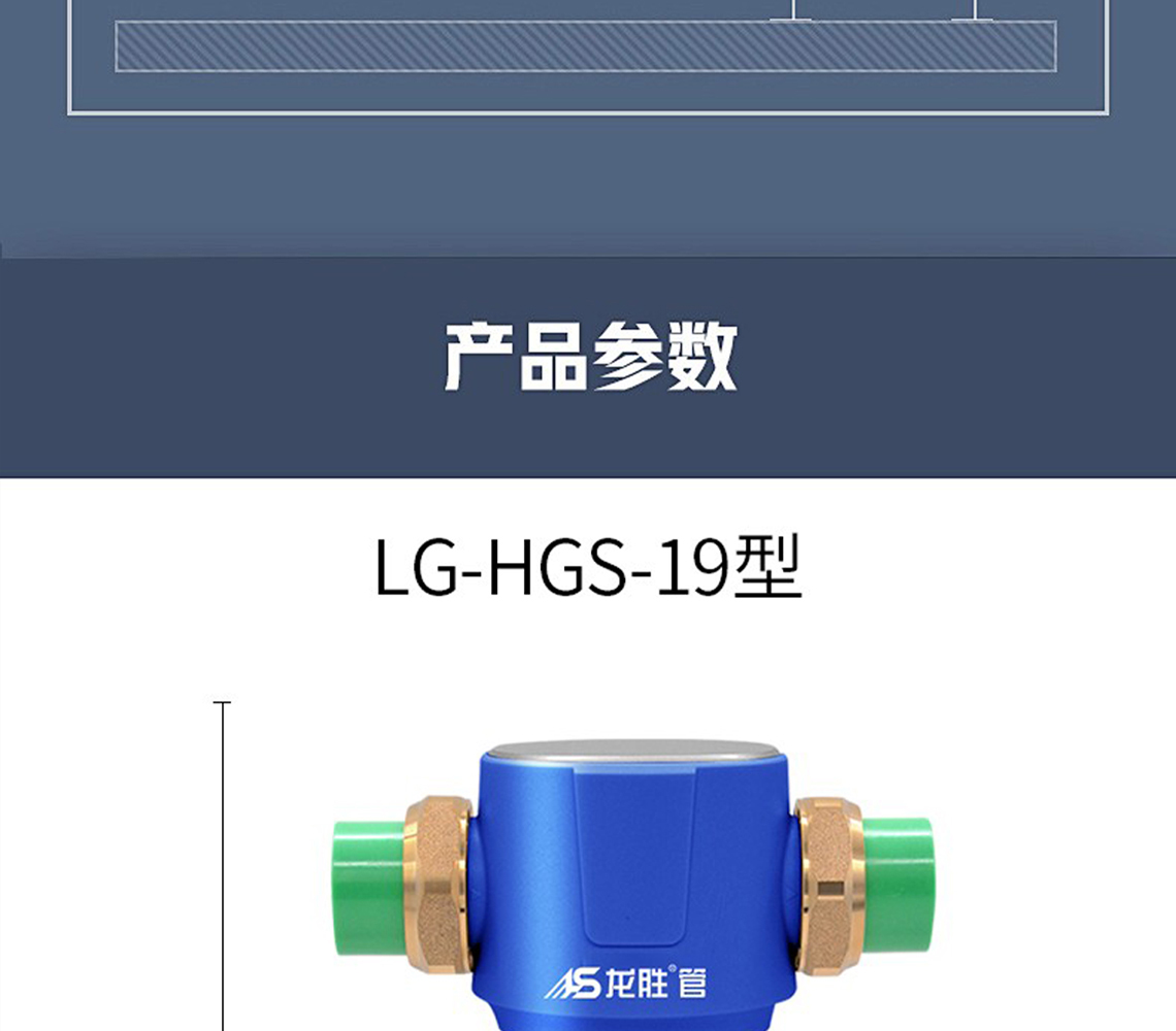 龍勝前置過(guò)濾器LS-HGS-19